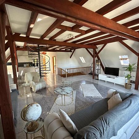 Schoene Grosse Maisonettenwohnung In Weissenthurm 外观 照片